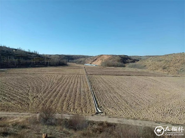 神木市西沙街道燕渠村肆浩农民专业合作社：冬闲，养殖业不闲