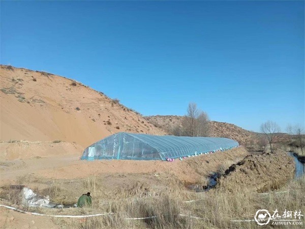 神木市西沙街道燕渠村肆浩农民专业合作社：冬闲，养殖业不闲