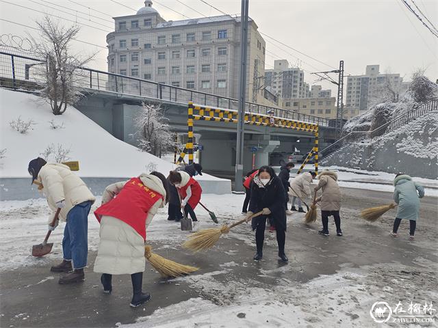 榆阳区崇文路街道春苑社区党组织开展扫雪工作