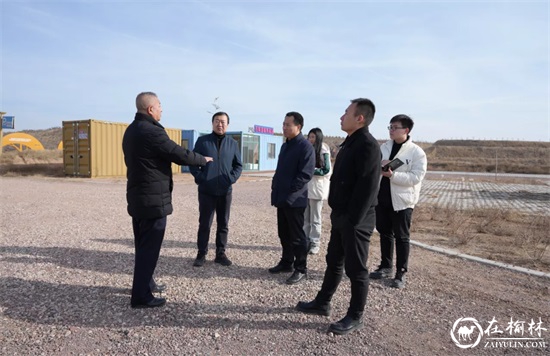 陕西省国土整治中心调研组一行莅临柠条塔矿业公司检查生态修复工作