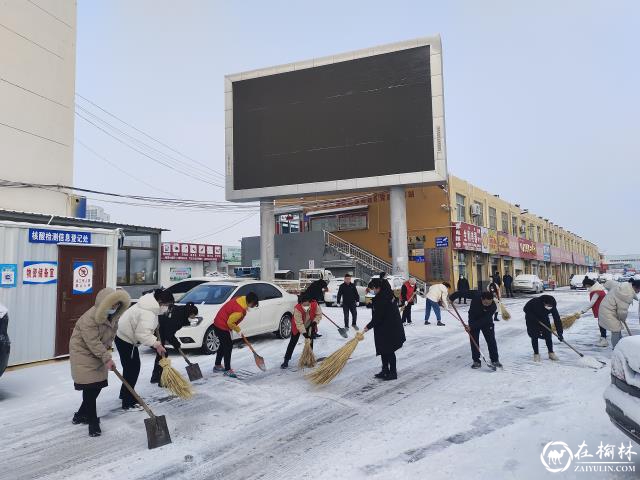 榆阳区崇文路街道春苑社区党组织开展扫雪工作