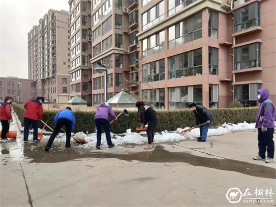 榆阳区崇文办芹涧路社区组织开展环境整治活动