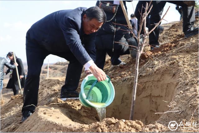 子洲县举行创建国家森林城市暨国土绿化行动启动仪式
