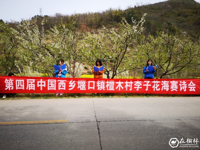 第四届中国西乡堰口镇檀木村李子花海赛诗会成功举办