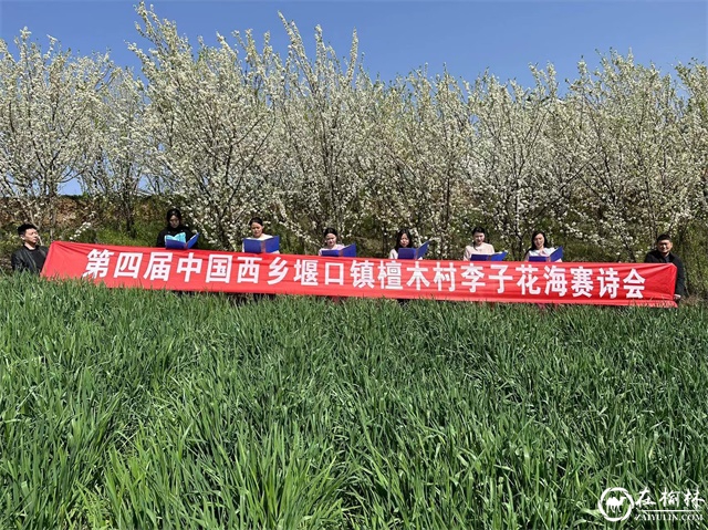 第四届中国西乡堰口镇檀木村李子花海赛诗会成功举办