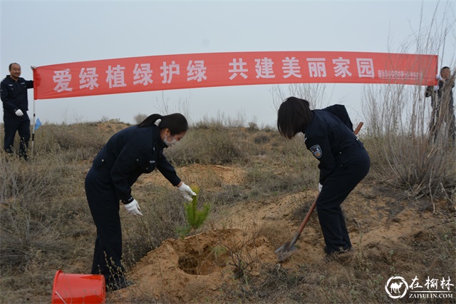 靖边交警:春风拂大地 “藏蓝”植“新绿” 靖边交警:春风拂大地 “藏蓝”植“新绿”