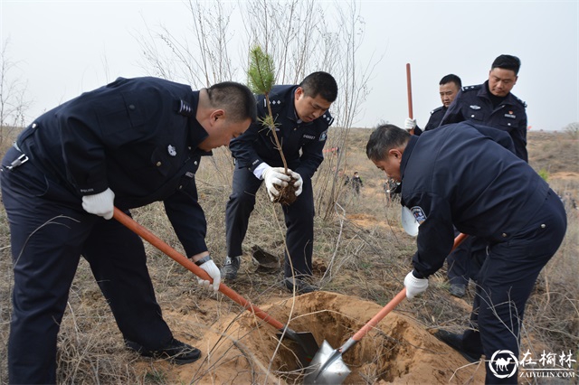 靖边交警:春风拂大地 “藏蓝”植“新绿” 靖边交警:春风拂大地 “藏蓝”植“新绿”