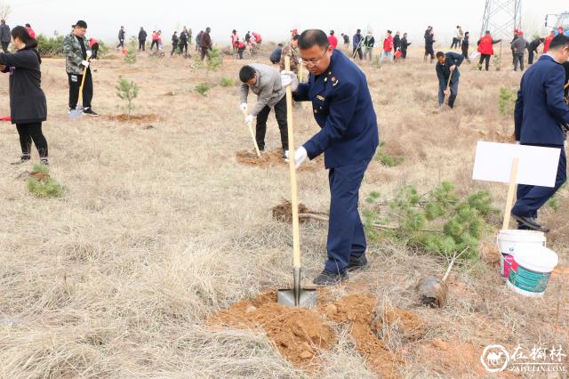 榆阳区鱼河镇:植树造林添新色 绘就美丽乡村新画卷 榆阳区鱼河镇:植树造林添新色 绘就美丽乡村新画卷
