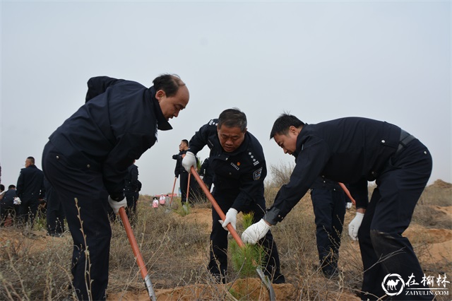 靖边交警:春风拂大地 “藏蓝”植“新绿” 靖边交警:春风拂大地 “藏蓝”植“新绿”