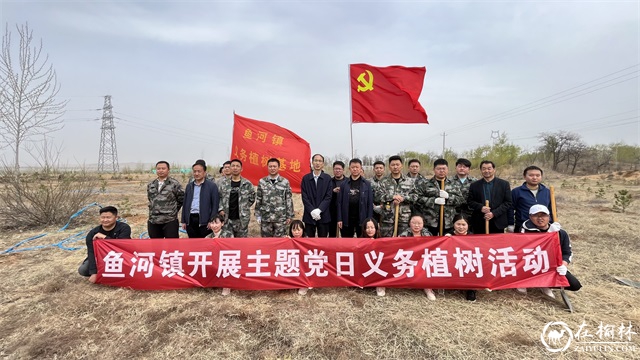 榆阳区鱼河镇：植树造林添新色 绘就美丽乡村新画卷