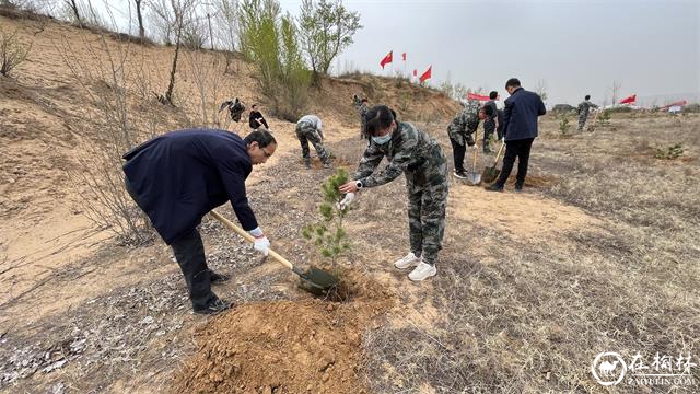 榆阳区鱼河镇:植树造林添新色 绘就美丽乡村新画卷 榆阳区鱼河镇:植树造林添新色 绘就美丽乡村新画卷