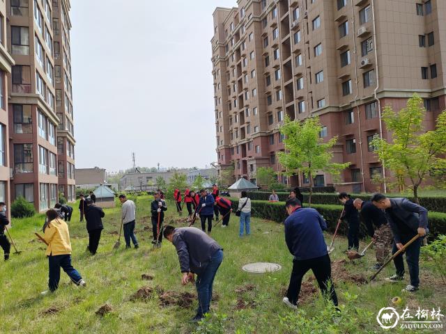 推进生态文明建设 共建绿色和谐家园——御溪名城小区第一届“春绿节”