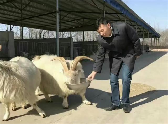 榆林好人崔应国：诚信拼搏实现梦想 回乡引领再展宏图