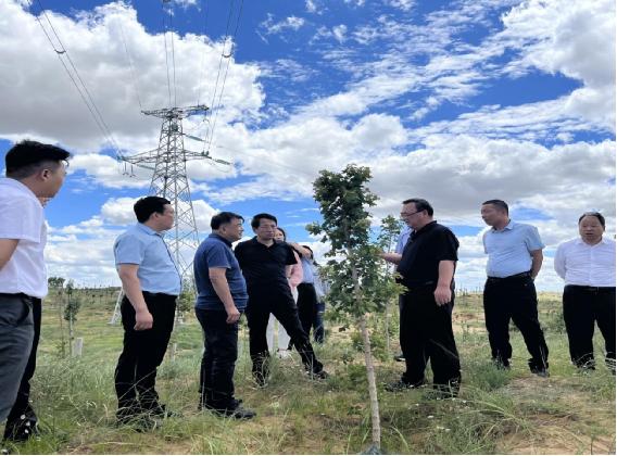 榆阳区人大常委会调研全区采空塌陷区治理情况