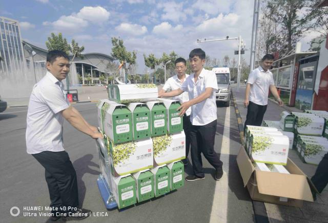 神木柠条塔矿业公司：“生态绿”遇到“党建红”