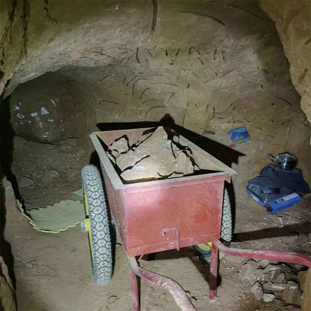 靖边县公安局警方再破获一起盗掘古脊椎动物化石案