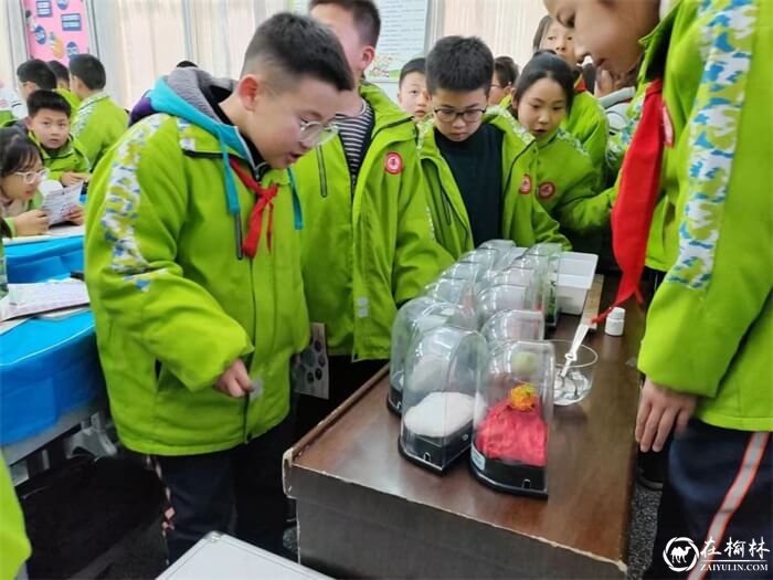 靖边公安：二月里的“警”色独好