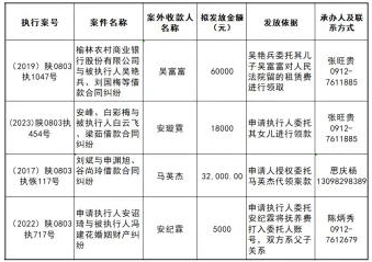 横山区人民法院关于向案外人发放执行案款的公示
