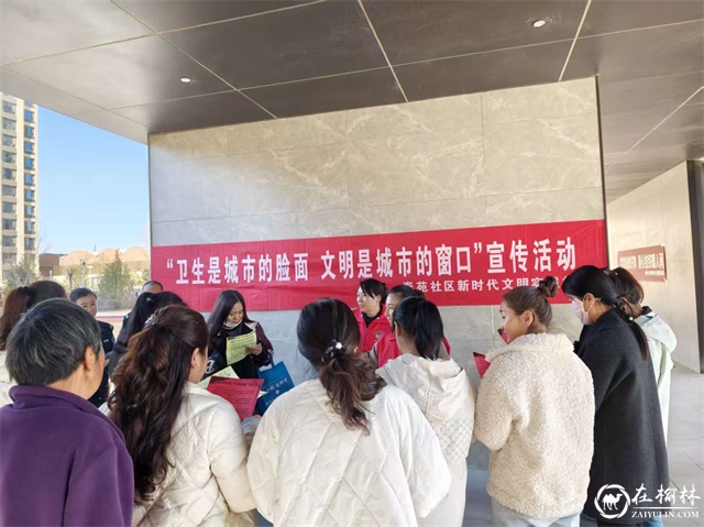 向市民普及垃圾分类标准、投放技巧与环保意义