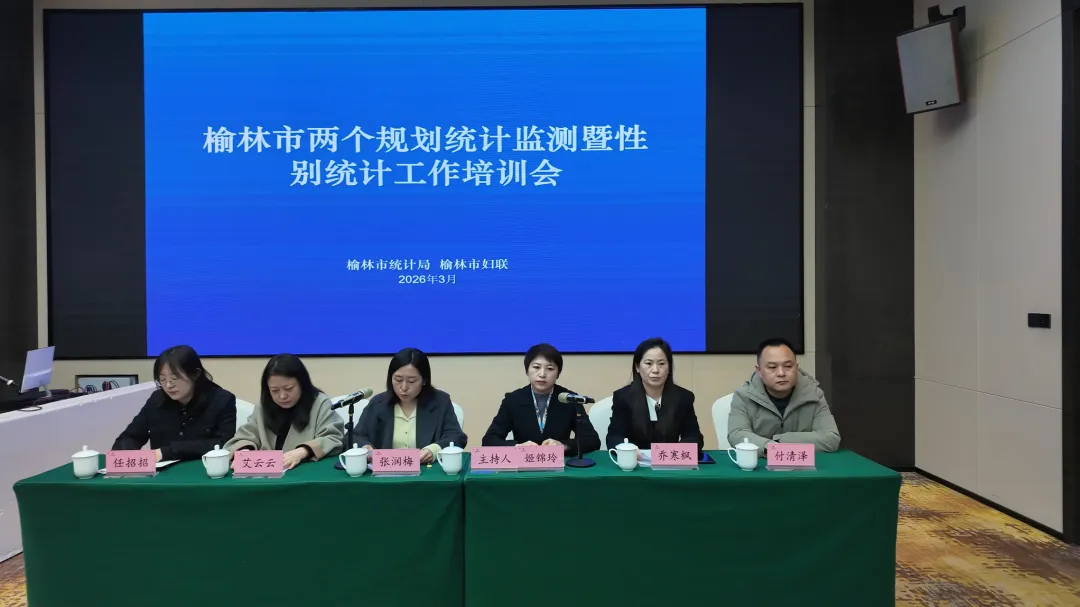 榆林市“两个规划”统计监测及性别统计工作专题培训会举办