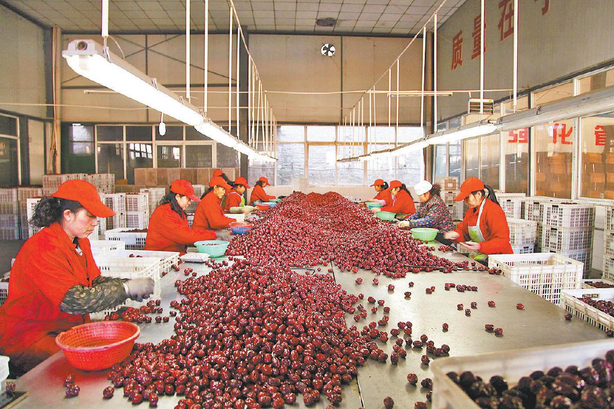 实干笃行勇向前——清涧县二〇二五年经济社会高质量发展回顾