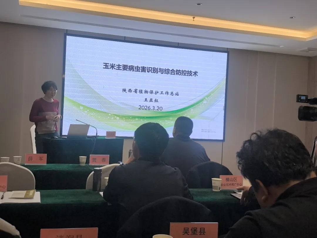 榆林：全市农技工作暨玉米高产技术培训会召开