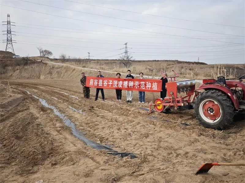 府谷县农技中心深入前梁村指导谷子顶凌播种技术