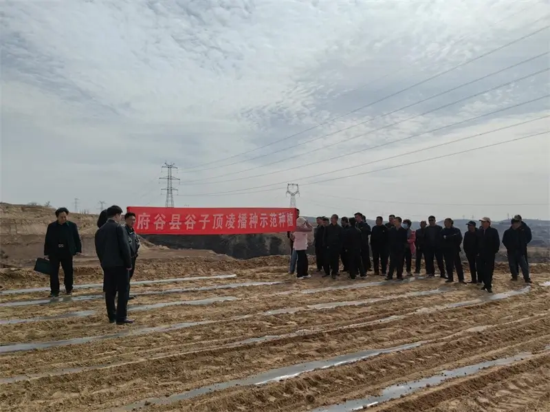 府谷县谷子顶凌播种示范种植观摩活动在木瓜镇前梁村顺利举行