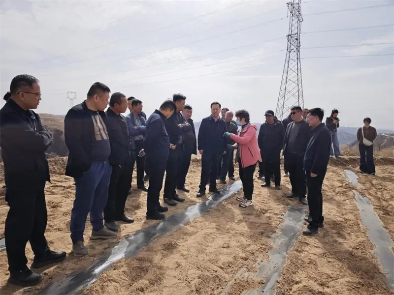 农技人员关键技术点展开详细讲解