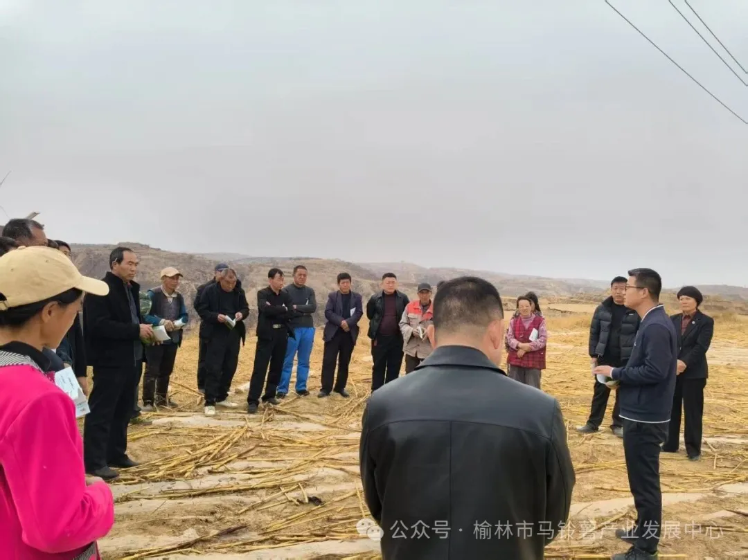 榆林市马铃薯产业发展中心佳县开展旱地马铃薯培训
