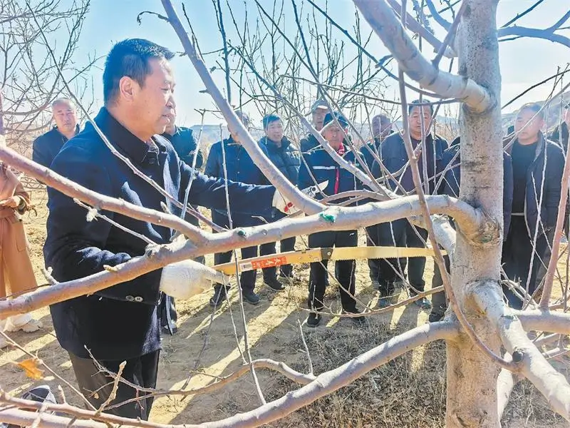 图为果业专家现场向果农教授剪枝注意事项。陈静仁摄