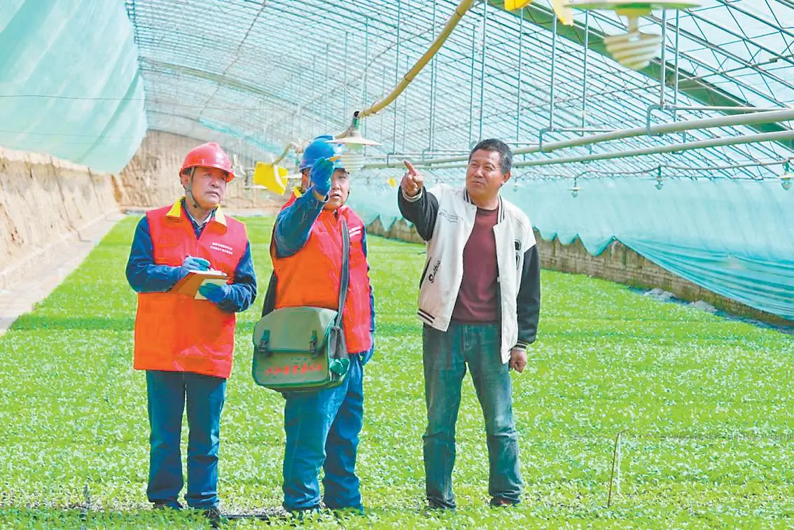 国网榆林供电公司工作人员在育苗大棚内检查用电设备