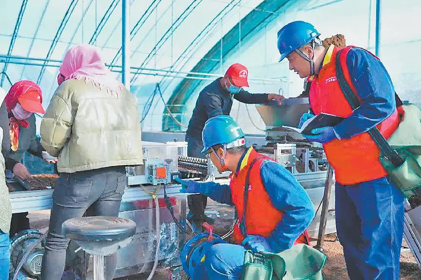 国网榆林供电公司工作人员检查全自动播种流水线安全运行情况