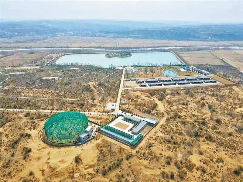 横山朱鹮人工繁育和野化放飞试验基地。韩飞摄