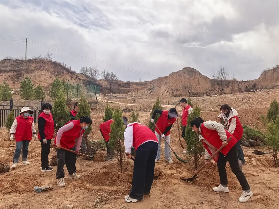 崇文路街道寨城庄社区：人大代表带头植绿 “五级五长”共绘生态画卷