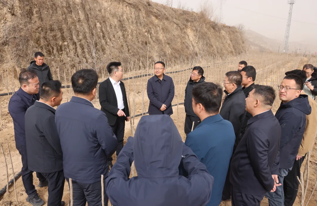 参会人员实地考察了周家硷镇车家沟村杜仲基地