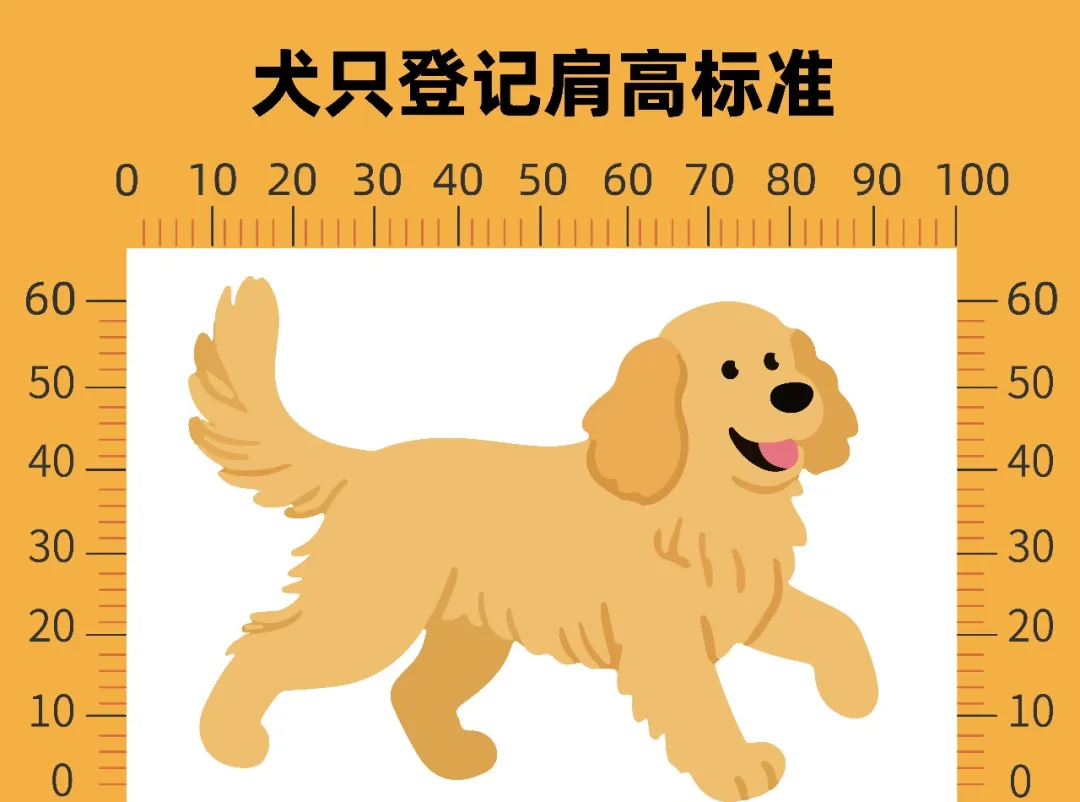 养犬重点管理区禁养烈性犬名录及大型犬标准（图）
