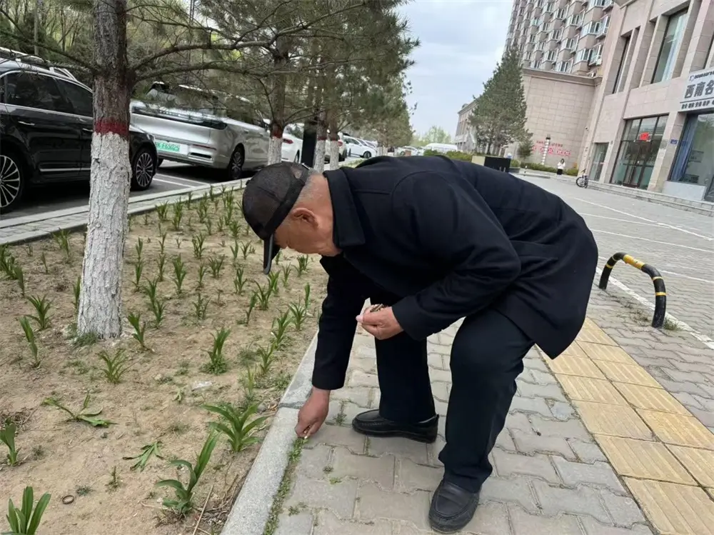 居民自发投身于烟头清理