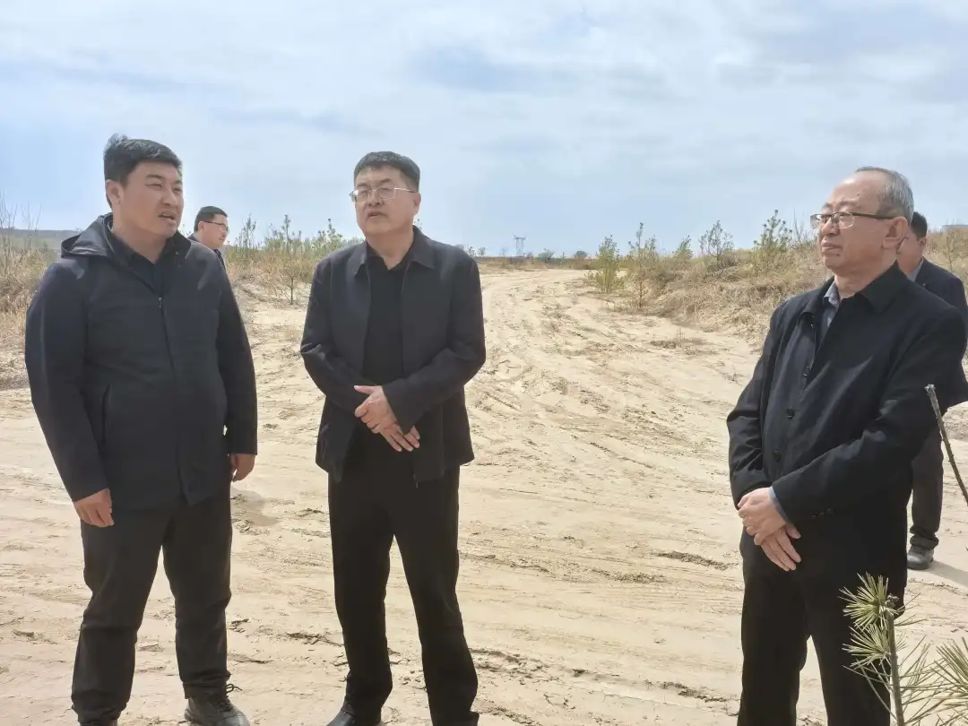 4月8日,榆林市人大常委会农工委主任王皓、农委委员、部分市人大代表,市林草局、市水利局分管领导,相关领域专家在横山开展毛乌素沙地治理成效专题调研。