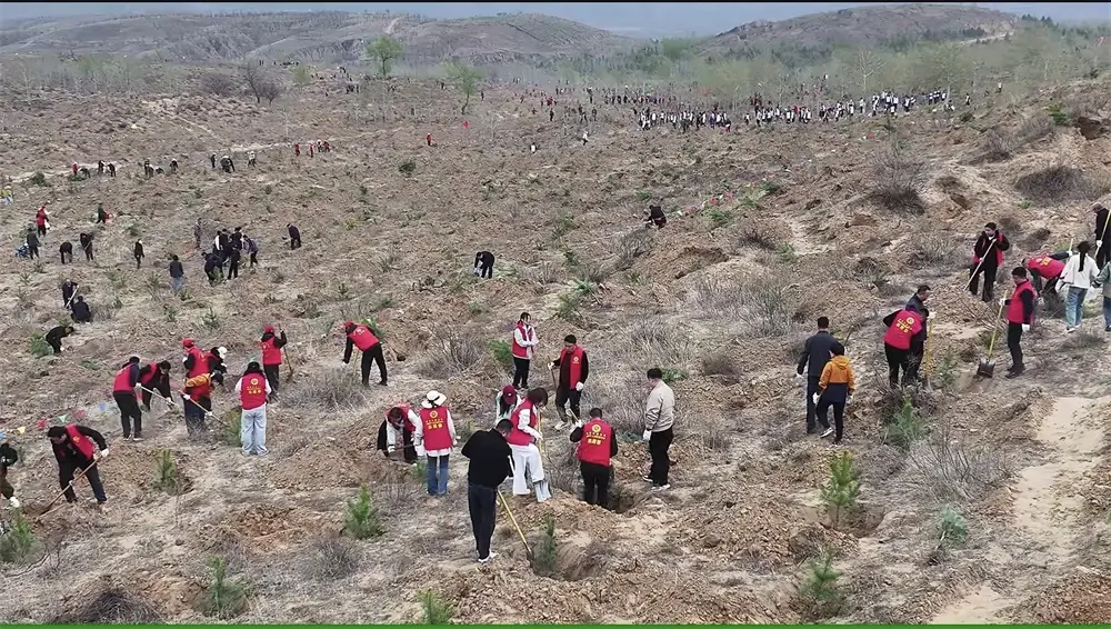 4月8日，横山区2026年“一县一山头”区直机关集中义务植树活动在雷龙湾镇魏沙沟村启动。