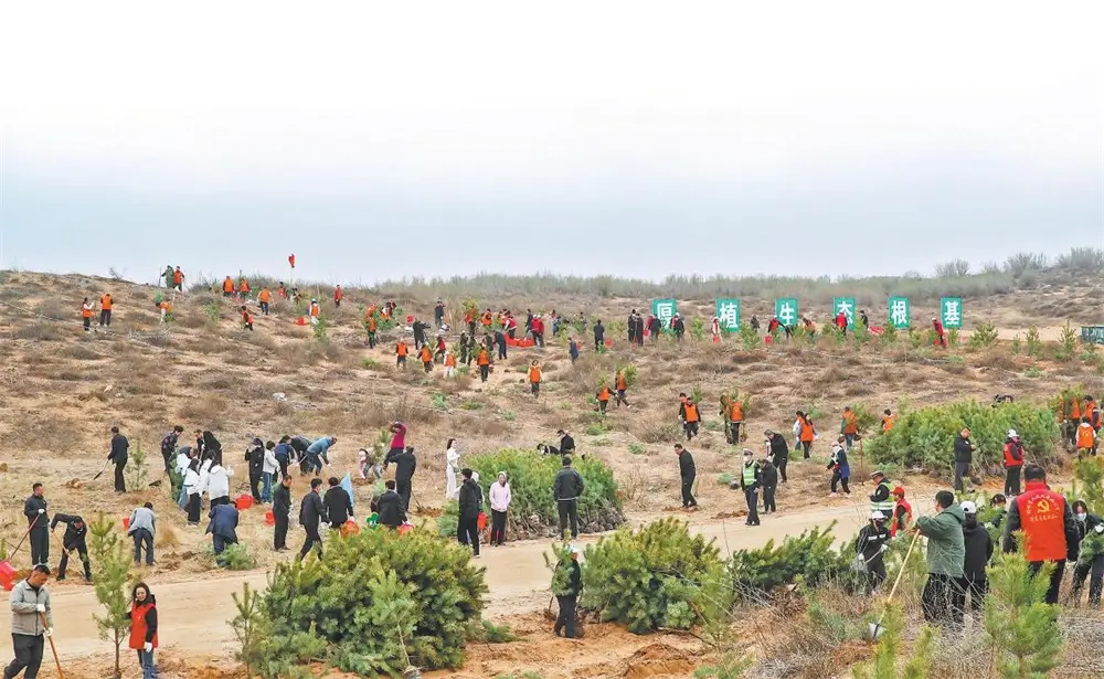 不负好春光 植树添新绿——榆林市2026年全民义务植树活动侧记