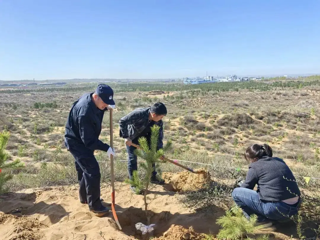 4月10日，榆林市数字化城市管理指挥中心组织干部职工赴榆阳区金鸡滩植树点开展义务植树活动