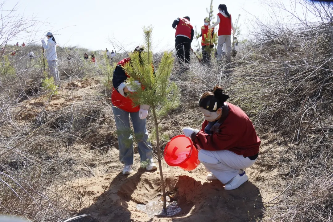 4月10日上午，榆林市第五医院开展了主题为“撒播绿色希望 守护身心健康”的义务植树活动
