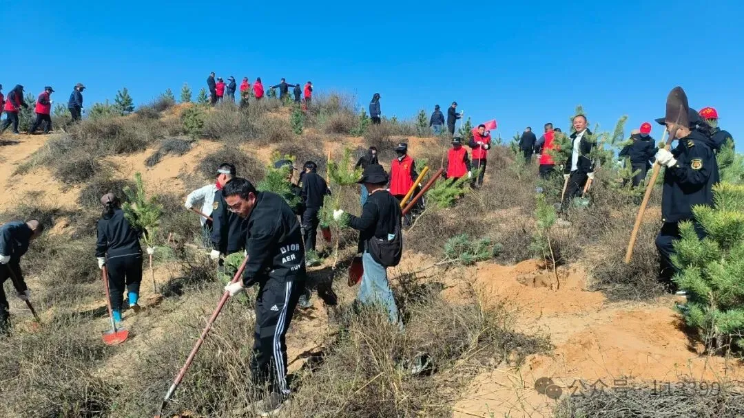 4月10日上午，榆林市环境卫生服务中心组织全体干部职工，赴金鸡滩开展春季义务植树活动