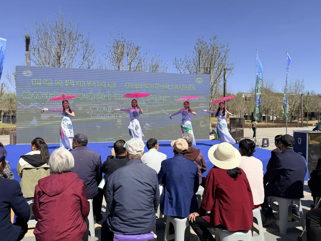 陕北说书等特色文艺演出引导全社会参与鸟类保护