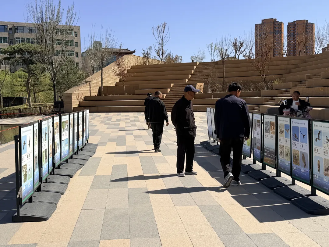 科普展板区则详细介绍榆林分布的野生鸟类种类