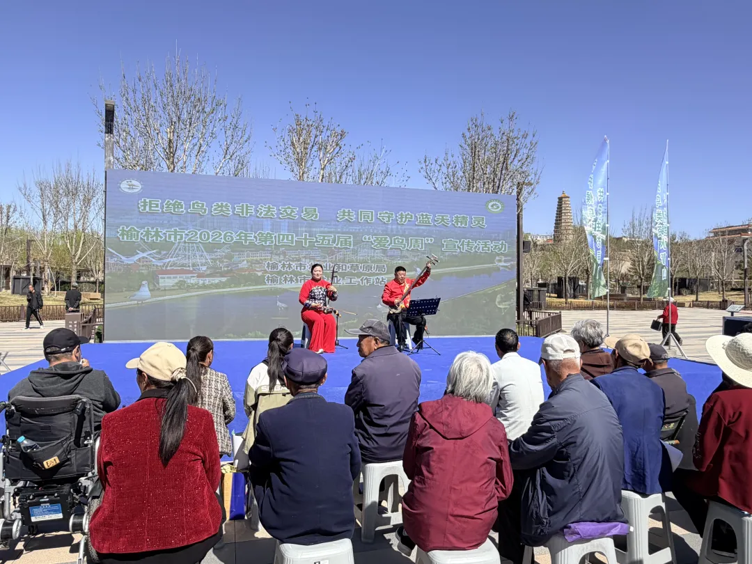 陕北说书等特色文艺演出引导全社会参与鸟类保护