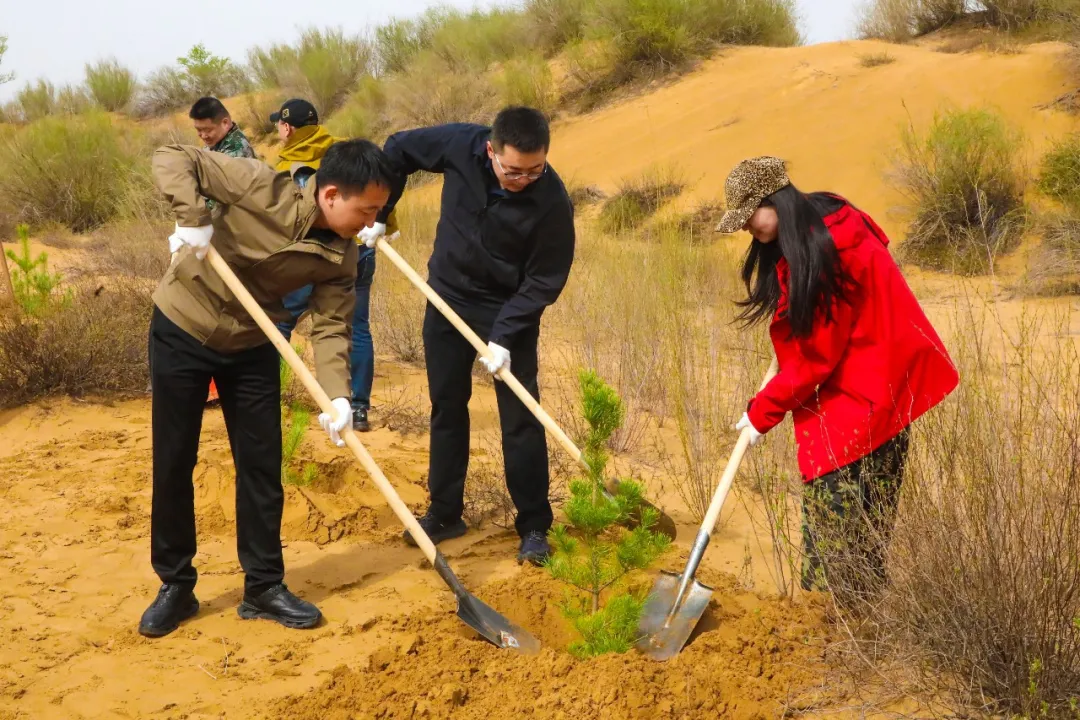 4月16日，榆林市榆阳区互联网协会组织会员赴巴拉素镇开展“网聚青春力量 共植绿色榆阳”义务植树活动。