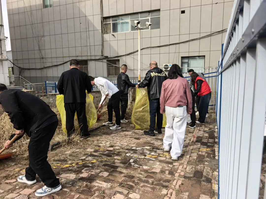 环境卫生集中整治