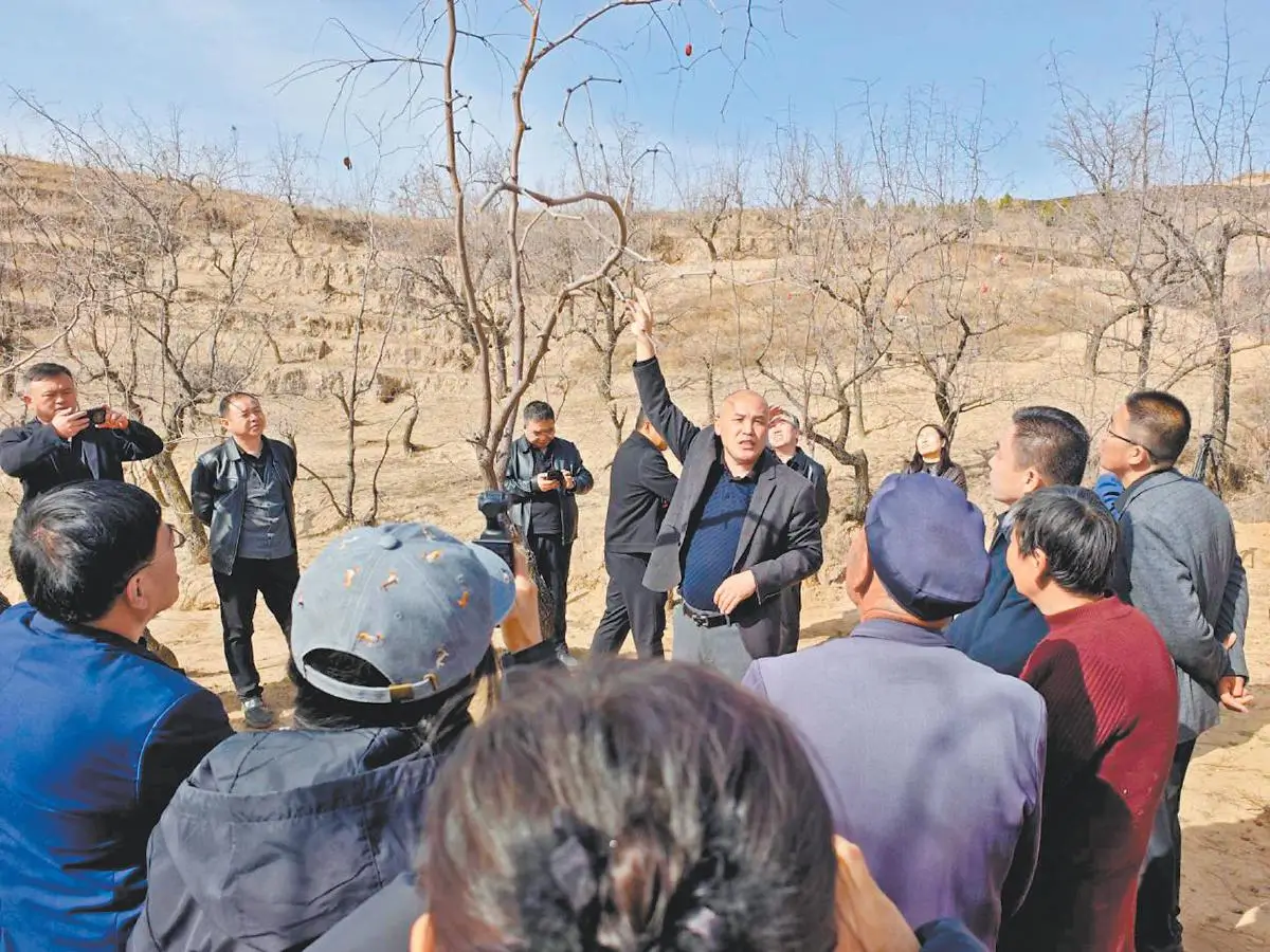 图为农技专家现场开展技术指导。通讯员白金波摄